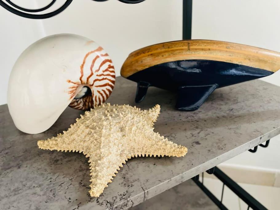 La Venezia'S Studio Flat Livorno Bagian luar foto